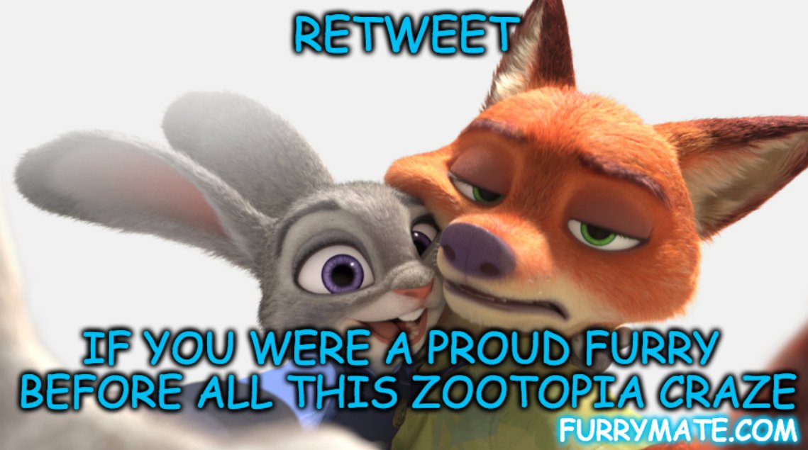 FurryMate's tweet photo. HEYY! Check us out at https://t.co/bXDT2WgYxj! https://t.co/EwlODeXY2B