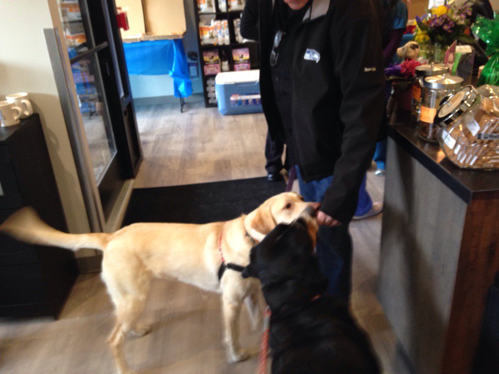 Lots of action, treats, coffee &amp; <a href="/Prolepizza/">Proletariat Pizza</a> at the 
<a href="/Cascadepets1/">CascadePets</a> open house. Cc: <a href="/westseattleblog/">West Seattle Blog</a> <a href="/whitecenternow/">White Center Now</a>