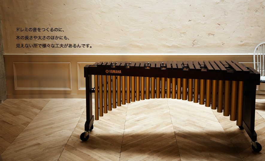 ヤマハ 音楽部 A Twitter マリンバとシロフォンの違いって T Co Pebmvjpdhu 楽器解体全書plusより マリンバ のご紹介 興味深いネタばかり 同じ木琴のシロフォンとの違いは 調律 なんです マリンバ 音板打楽器 T Co Ly58o1zyoo