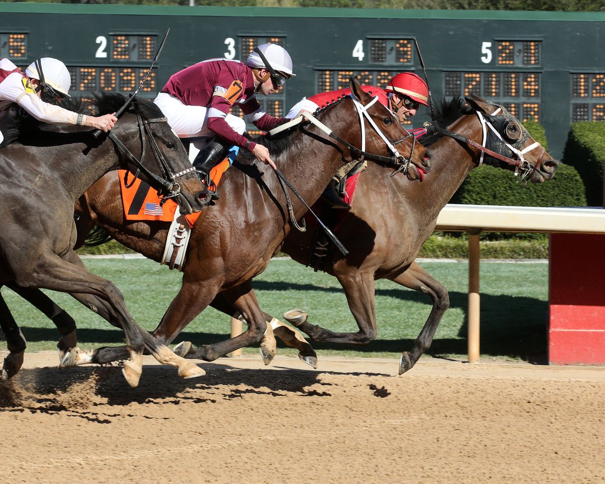 BH_AEberhardt's tweet image. #CallPat over #Untapable in G2 #Azeri @OaklawnRacing @CoadyPhoto @ABRLive
