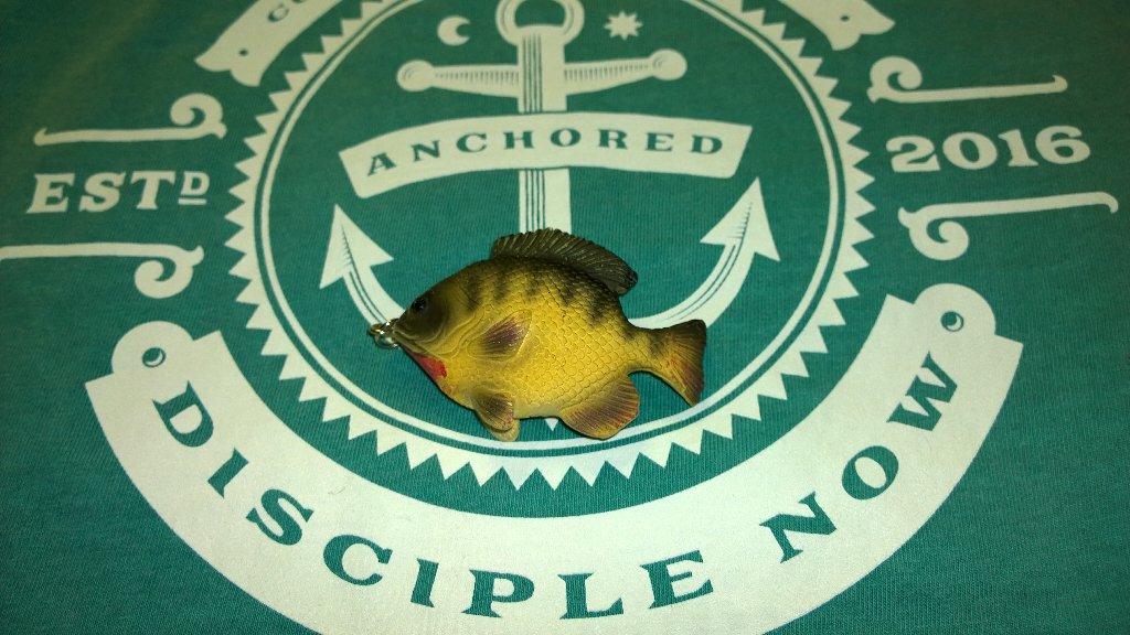 xstreamreign1's tweet photo. @640students #anchored2016 - Liberty Bible Church https://t.co/WbA4bQekmO