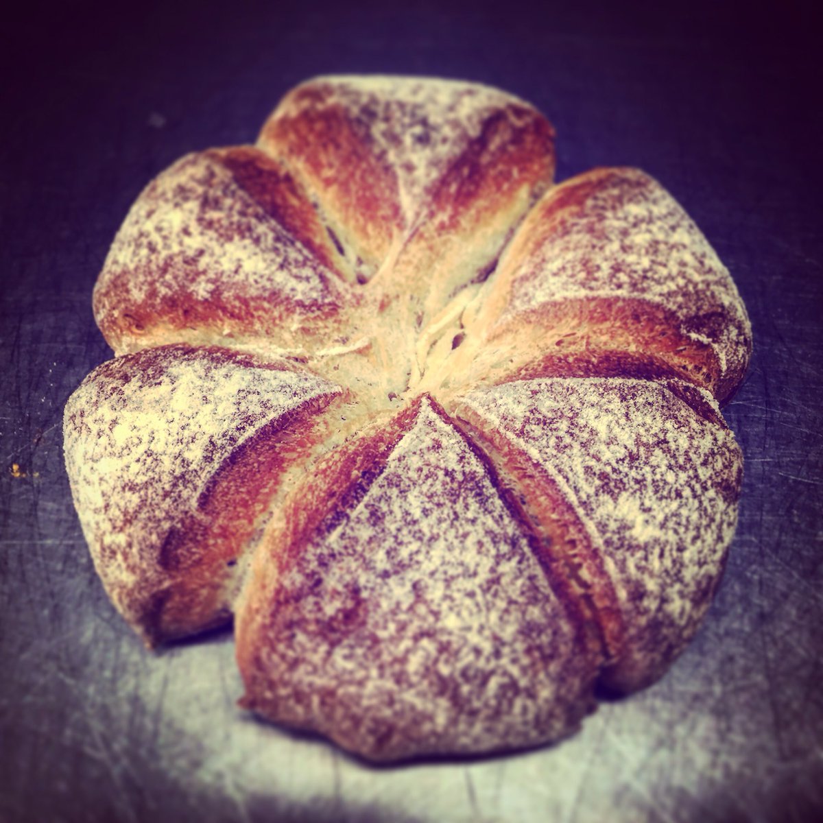 Gertdemangeleer's tweet image. New bread service!!! To be continued... #keepontesting #hertogjan