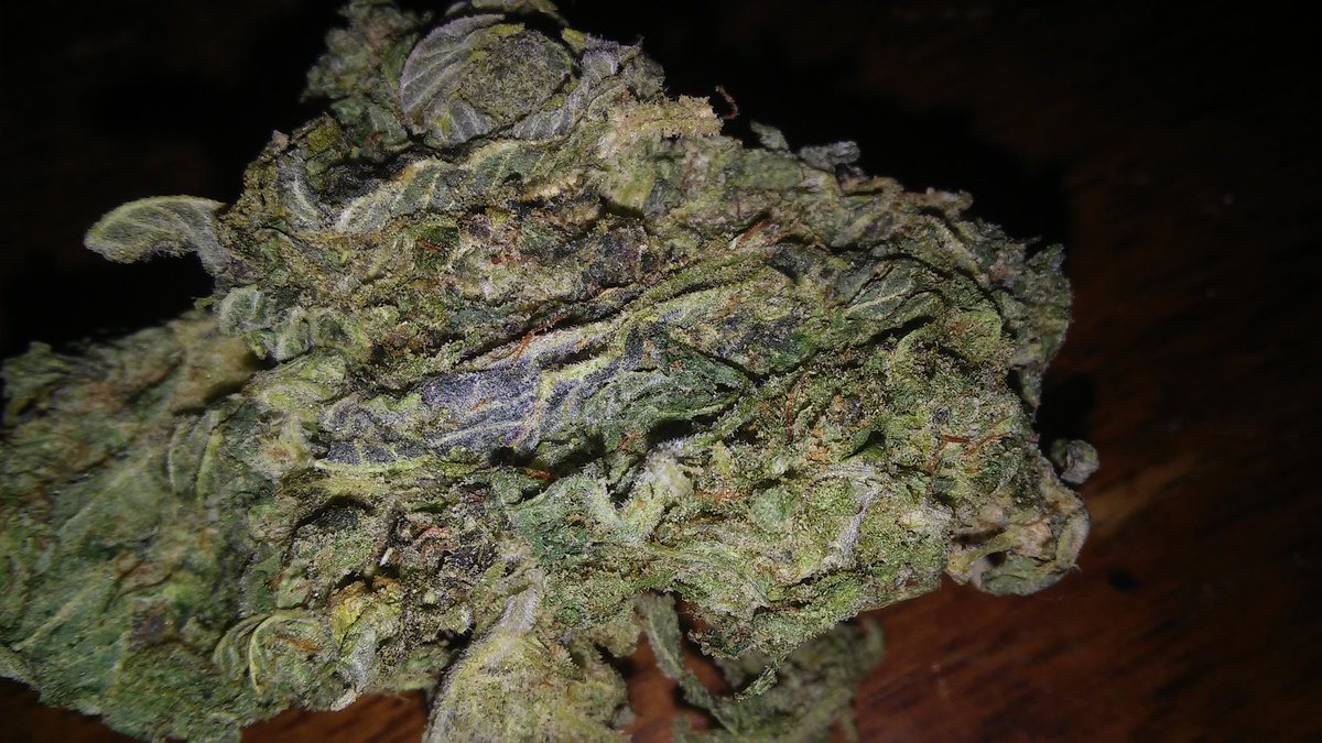 DrewToken's tweet image. #weed #stoner #cannabiscures