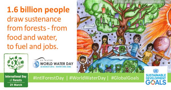 Investing in forests is an insurance policy for the planet. #IntlForestsDay j.mp/ZT4lmL #WorldWaterDay