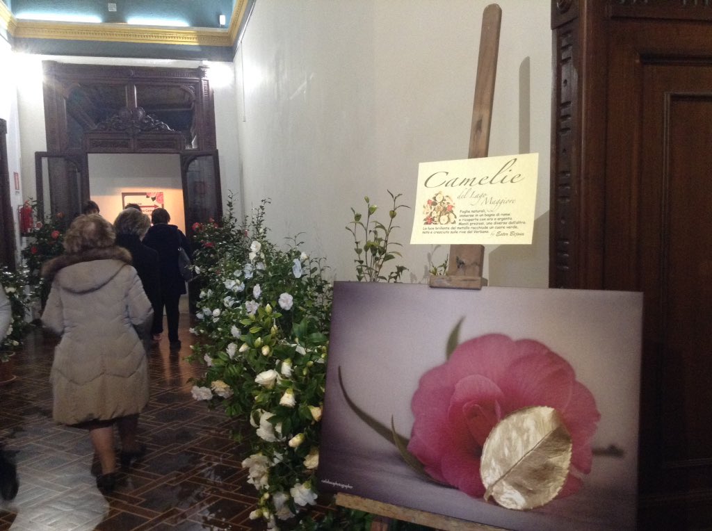 esterbijoux's tweet photo. Anche a domani le #foglie #esterbijoux a #pallanza #lago maggiore ... Una favola! https://t.co/vKIsKyvQZ3