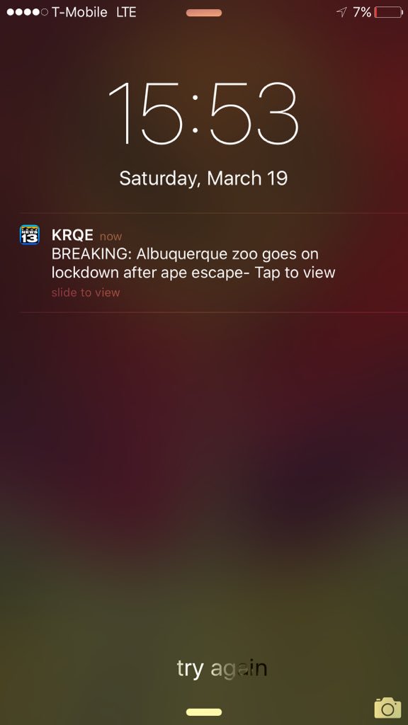 mattpanek's tweet photo. 🙊😂 only in ABQ https://t.co/adiRuw6mJA