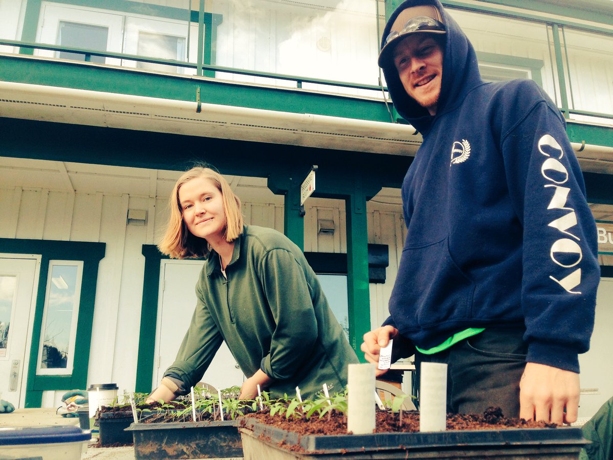 abewahi's tweet photo. #interns @magicmikemovie and Morijah #PotUp #tomatoes @ProvidenceFarm1 https://t.co/n8dV9Pwsuv