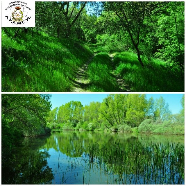 La Vida renace, mira a tu alrededor #Primavera2016 
No tengas prisa, <a href="/elcorteingles/">El Corte Inglés</a> está ya en invierno. #Disfruta