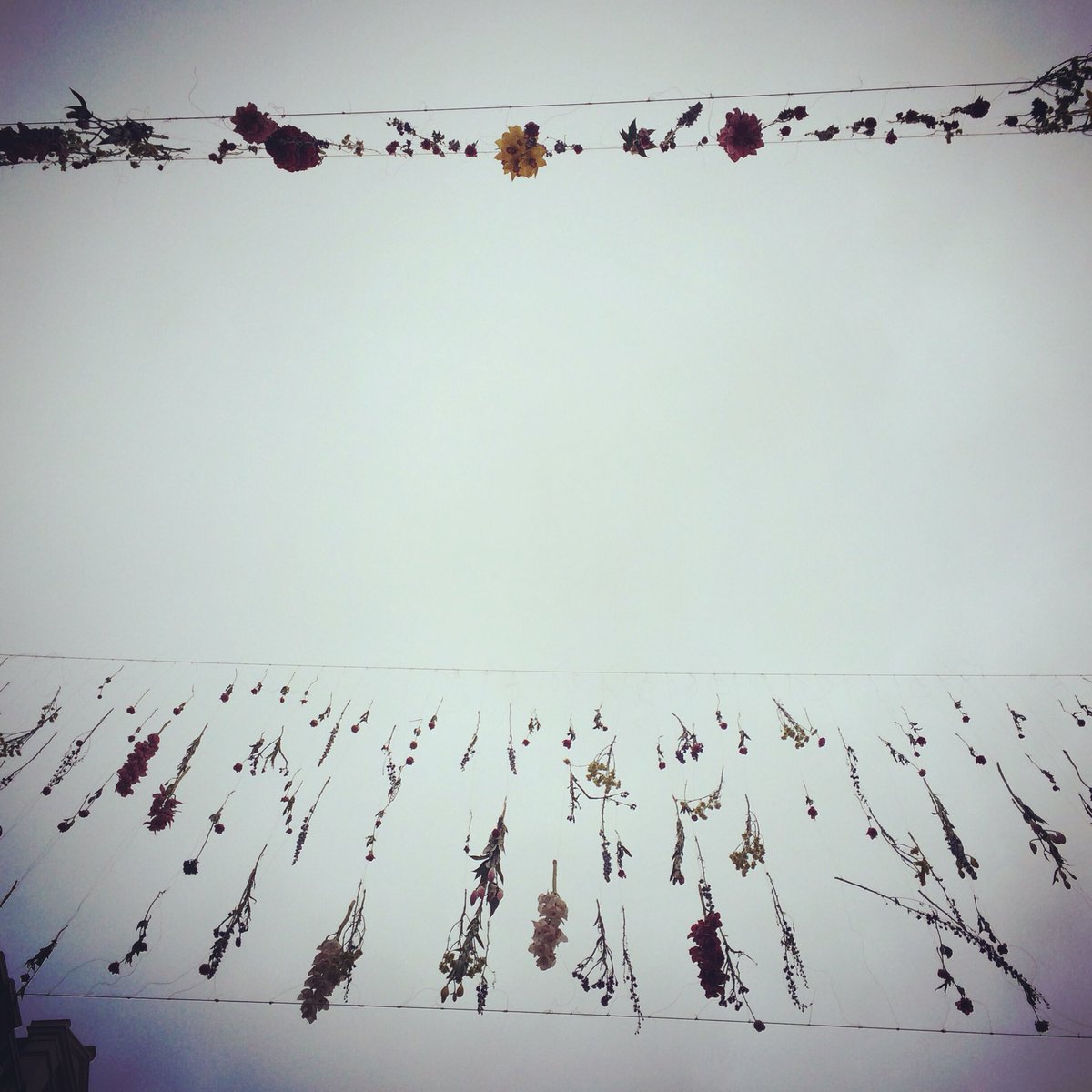 Lovely floral installation at St Christopher's Place 💐 #spring