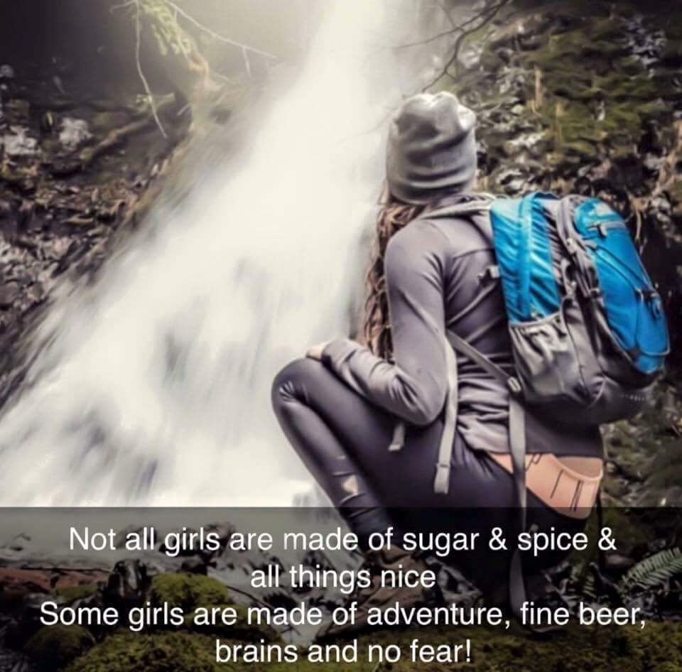 Hiking tweet media