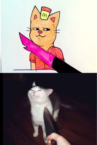 Wow,Burg looks similar to that cat.(With MTT)