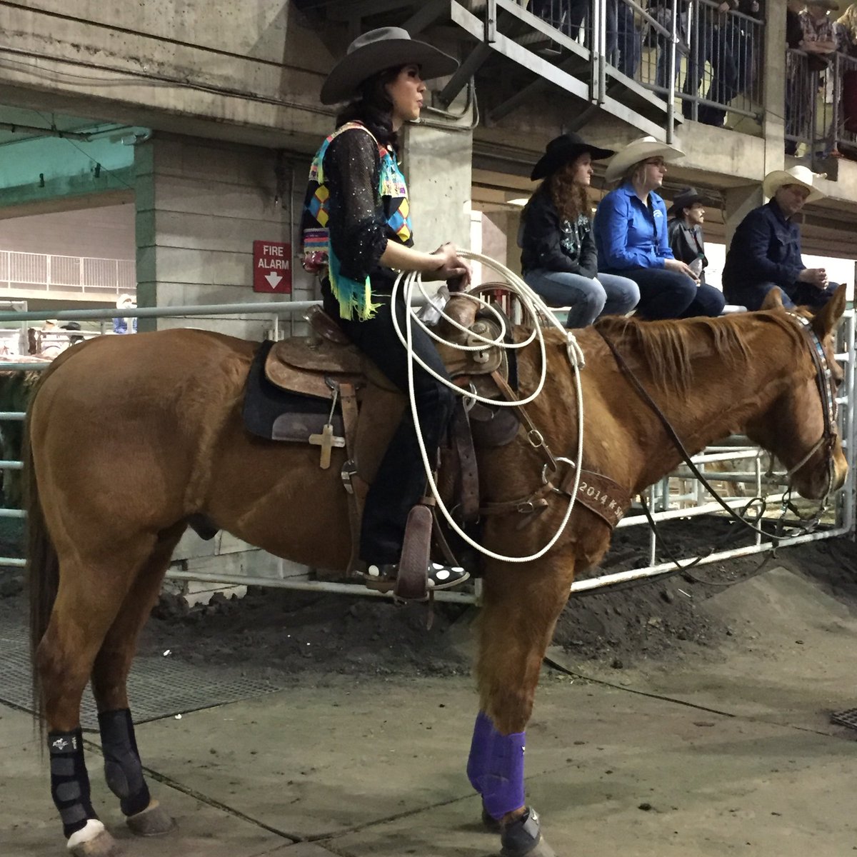cfredmonton's tweet photo. PJ Fox knows how to rope with style. #CCFR16 https://t.co/IIADlUBQrX