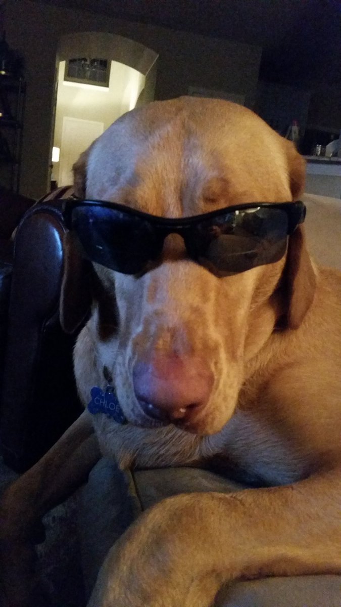 wpo3rd tweet picture