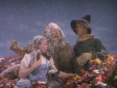 bloomenviro's tweet image. Did you know that snow in the #WizardofOz was actually pure chrysotile #asbestos? #unusualweather
