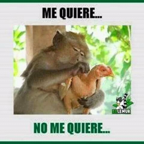 ¡¡¡_Eddy Alistun_!!! (@eddy_alistun) on Twitter photo 