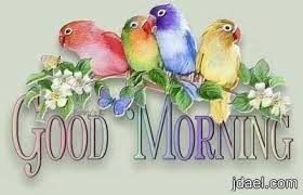 rabab1157's tweet photo. https://t.co/xykS5DfePb