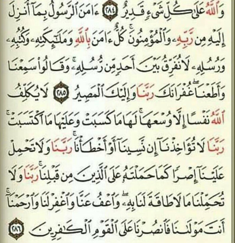 Musaad S. Alkhudhayr tweet media