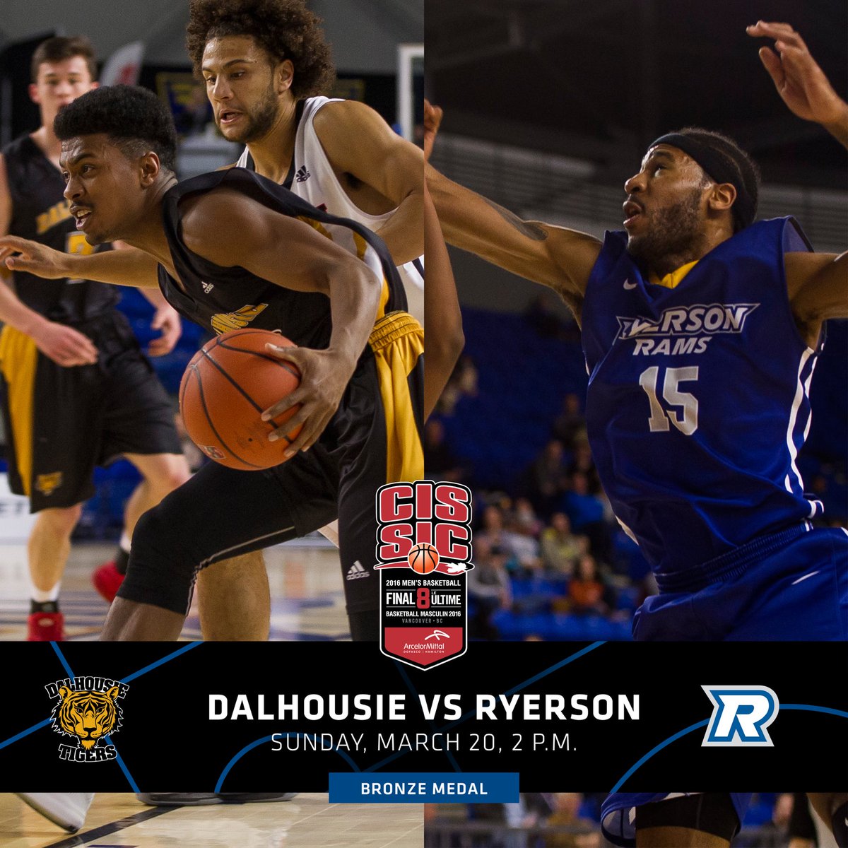 ubctbirds's tweet image. In a battle for #CISFinal8 bronze @ryersonrams will take on @DalTigers at 2pm. Watch: gothunderbirds.ca/news/2015/11/1…
