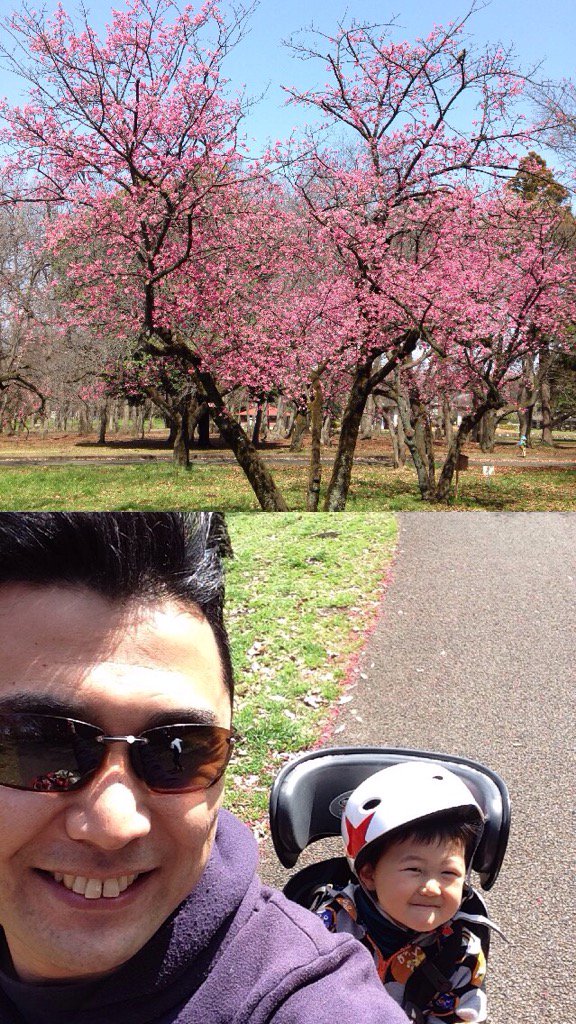 miz0521's tweet image. 寒緋桜、綺麗！🌸🌸🌸 frontback.me/p/qogGxR5X #frontback