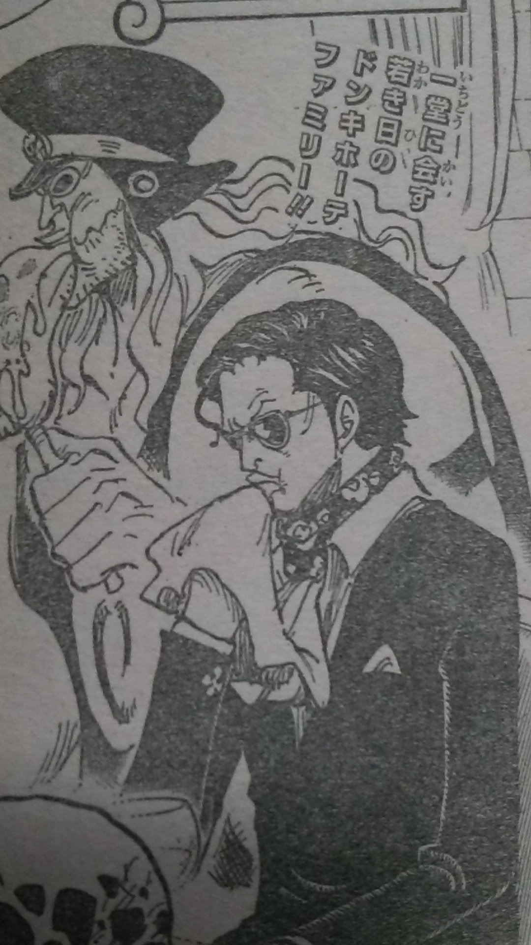 元のセニョール ピンク ルシアン 最高の花の画像