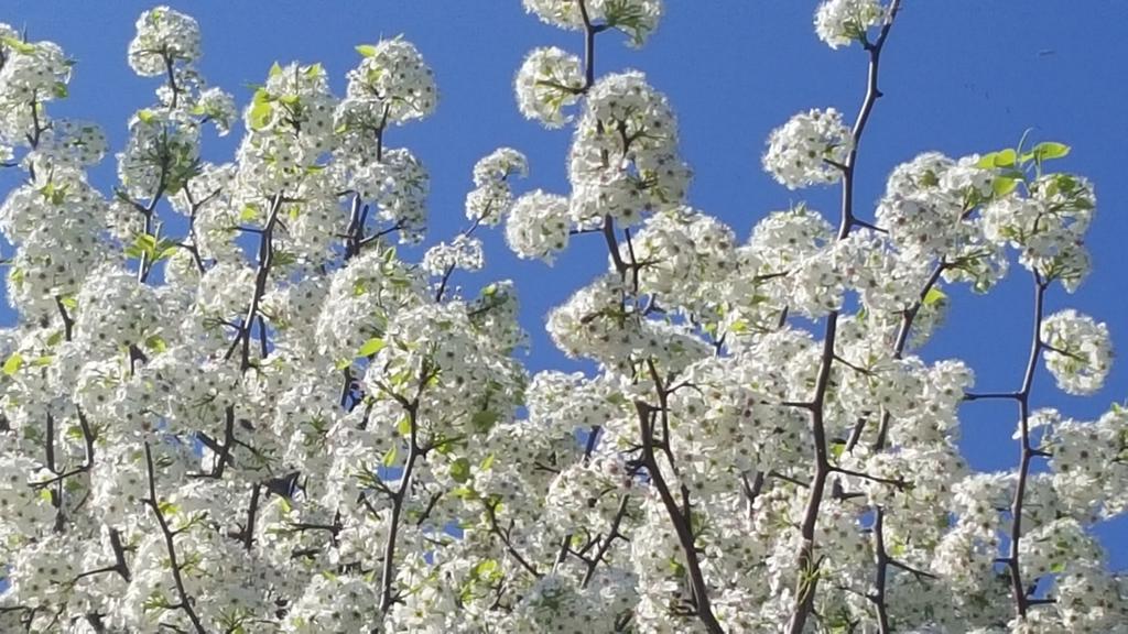 PaulSRusso's tweet image. #CNNSpring Raleigh, NC