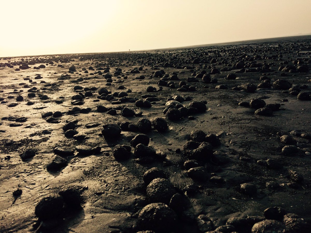 sunnybhanawala's tweet photo. 48kms done! Train like a warrior! #Runnerbliss #RunTagIt #Prep #ShimlaUltra #Milestone7 #seenonrun https://t.co/vatXzS0q5F