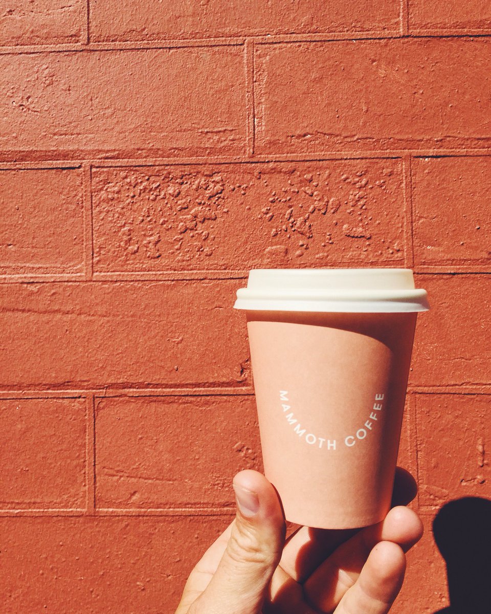 goodgrubguide's tweet photo. Mammoth cafe Malvern 👌🏻 https://t.co/iu3deNyTXr