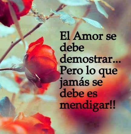 SarahiArQui's tweet photo. https://t.co/HwK5w4KCwj