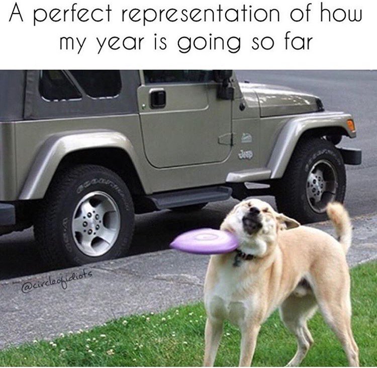 MensHumor tweet picture