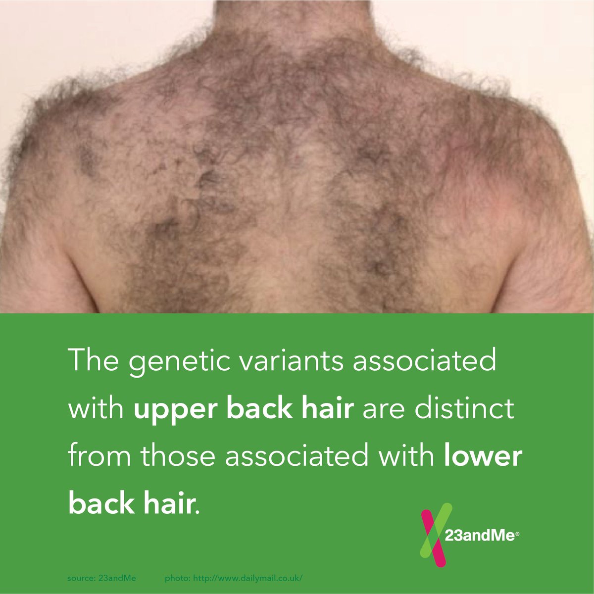 23andme On Twitter The Genetic Variants Associated With Upper