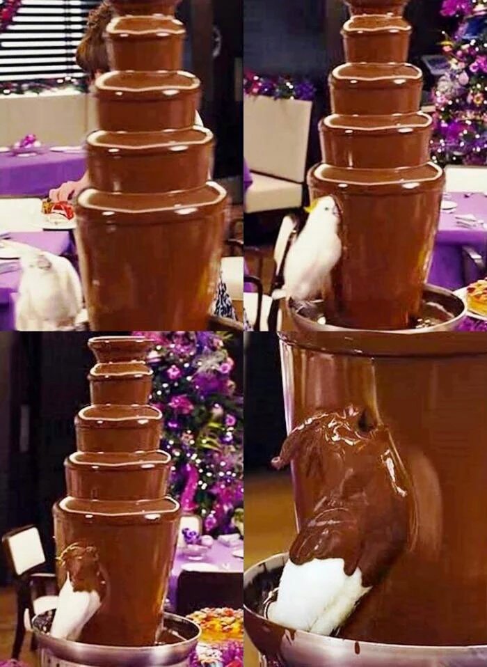 Trip when he gets a chocolate fountain--;