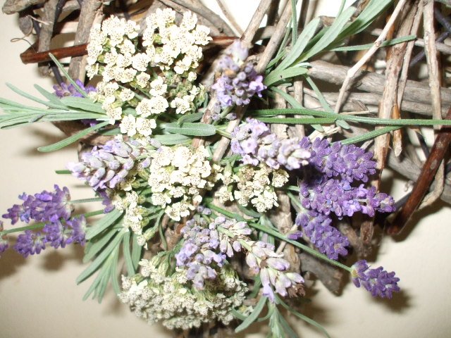 LavenderPinks's tweet photo. Good Morning. Busy day ahead at Lavender Blue Hq. Enjoy your day. https://t.co/tC7Stwpect