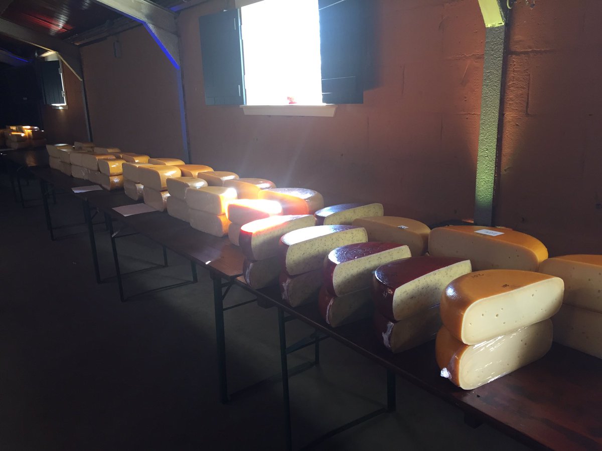 Vandaag #kaas proeven in het kader van #cumlaudenl