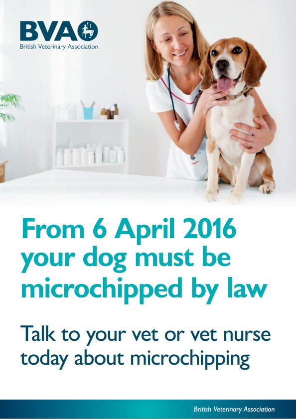 Ashcroft_Vets's tweet photo. We have lowered the price to £12.50 and if you are already here getting another procedure done it is only £10.00! https://t.co/AkeH8PHfHV
