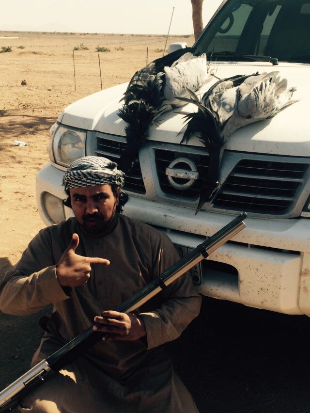 shoof_al's tweet photo. صيد اليوم https://t.co/exCxBv0hCW