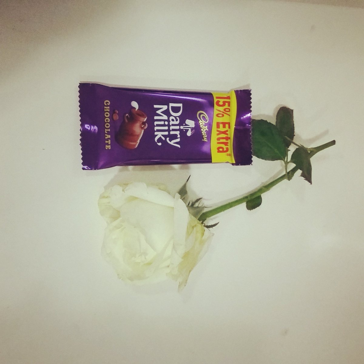 Vaaniiiiii's tweet photo. Thank You @SocialKinnect :) #HappyWomensDay #AgencyLife #SocialKinnect #WomensDay #WomensDay2016 https://t.co/KoH8WbSUZN