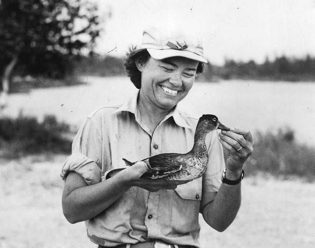 Greenpeace's tweet photo. 7 fantastic females who’ve made their mark on the history of wildlife conservation #IWD https://t.co/p5K7cGUSz8 https://t.co/cPpyhOlpY5