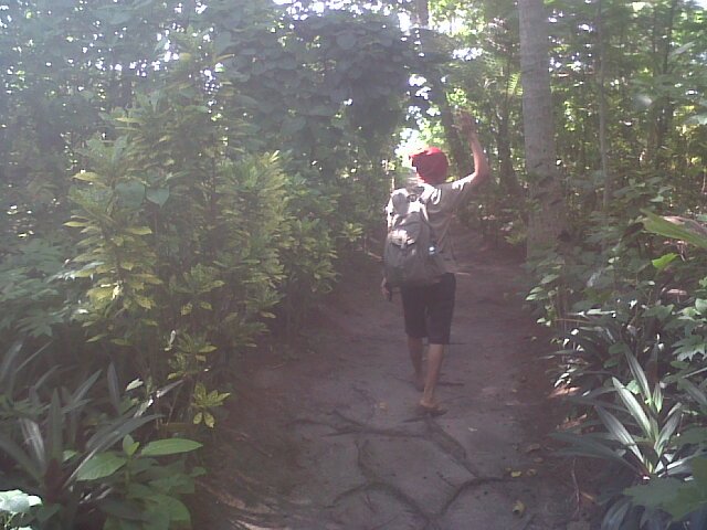 Febii_Setiawan's tweet photo. #PacificOceanJungle https://t.co/bzntjP02X0