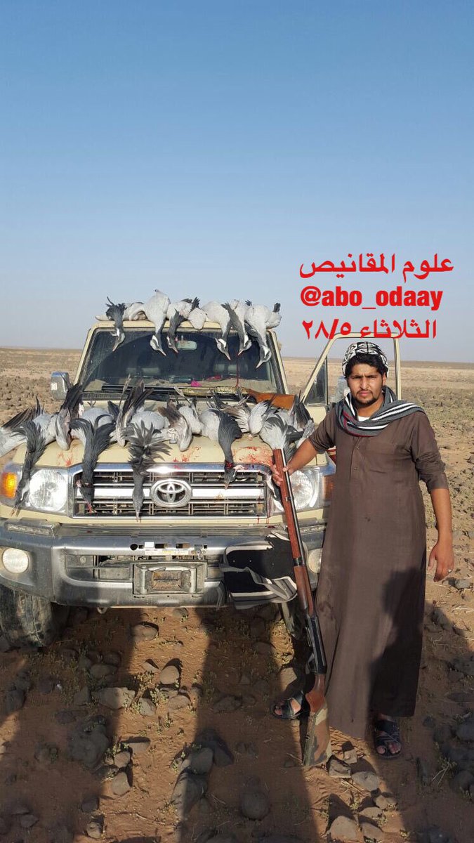 abo_Odaay's tweet photo. أخبار الكرك صيد اليوم الثلاثاء العدد ١١ ابونايف امين العويمري وربعه بتاريخ ٢٨/٥/١٤٣٧ بيض الله وجيههم 
#علوم_المقانيص https://t.co/bFjHwkLLSE