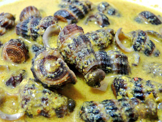 FoodPornMlaysia's tweet photo. Siput sedut masak lemak would be perfect for lunch! 😋😍💕 https://t.co/FLvCltWR3d