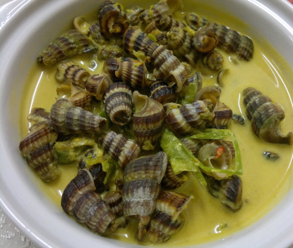 FoodPornMlaysia's tweet photo. Siput sedut masak lemak would be perfect for lunch! 😋😍💕 https://t.co/FLvCltWR3d