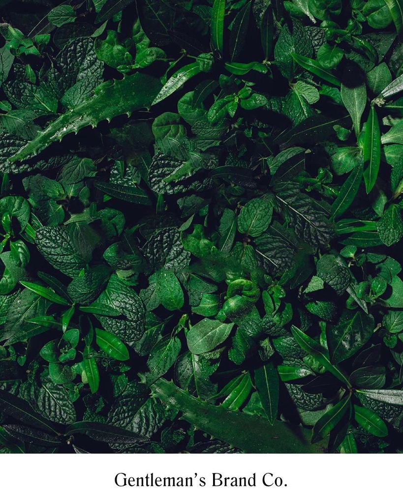 DesignRambles's tweet image. #DREAMprojects Gentleman&apos;s Brand Co. (@gentlemansbrandco) - We always create products with integrity, Gentleman&apos;s i…