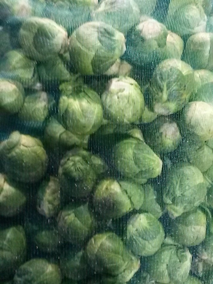 TotalPWolves's tweet image. Xl sprouts from james heyes growers