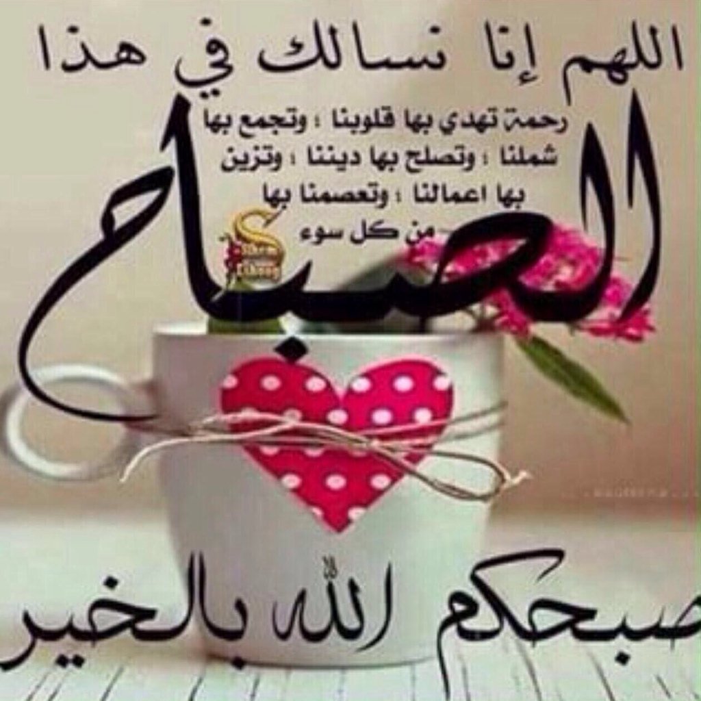 حمد المري (@q711300) on Twitter photo 