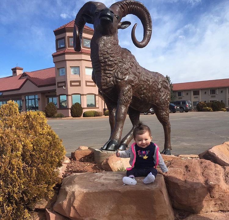 TheDon_Tical's tweet photo. @Hec18 @fo_matic @Osvaldo2Go @thestraygoat starting off my daughter young in #GoatsNation (it's a ram, close enough) https://t.co/LWYK8exar8