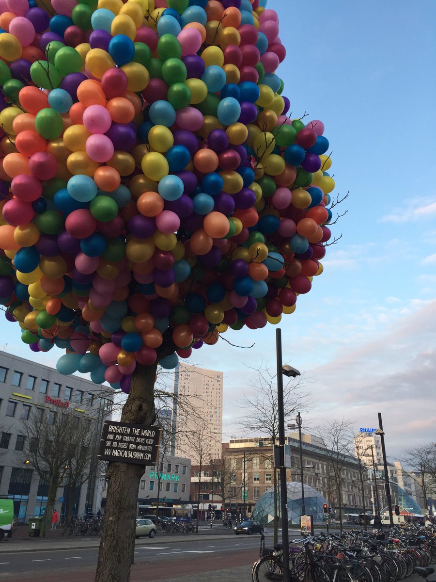 Mooi begin van de dag #balloontree @magicaldayblog