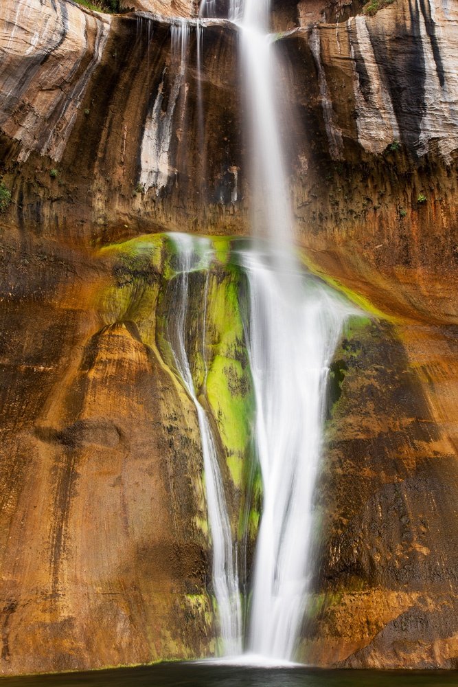 MundoPlantae's tweet image. #nature #sky #sun #summer #beach #beautiful #pretty #sunset #sunrise #blue #flowers #night #tree #twilight #clouds