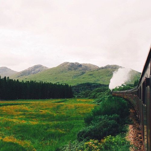 MundoPlantae's tweet image. #nature  #sky #sun #summer #beach #beautiful #pretty #sunset #sunrise #blue #flowers #night #tree #twilight #clouds