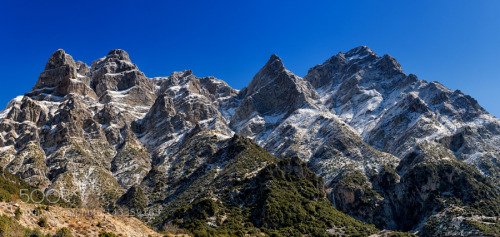 MundoPlantae's tweet image. #nature #mountain #sky #sun #summer #beach #beautiful #pretty #sunset #sunrise #blue #flowers #night #tree #twilight