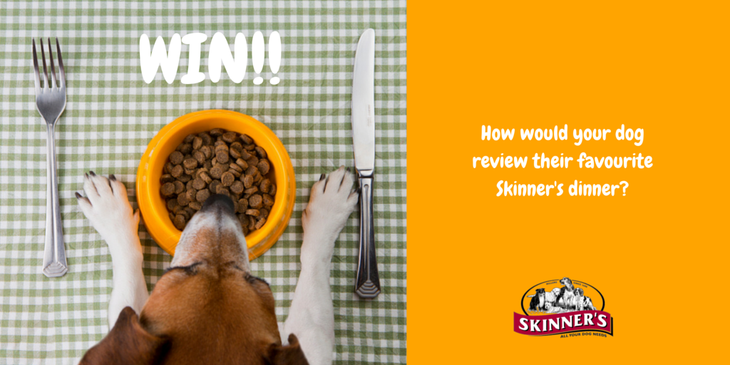 Skinnersdogfood tweet picture